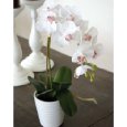 Künstliche Orchideen