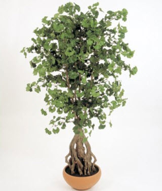 Künstlicher Ginko Deko Kunstbaum