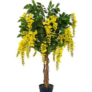 Künstlicher Goldregenbaum Kunstpflanze