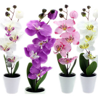 Orchideen künstliche Zimmerpflanzen (Quelle: Amazon)